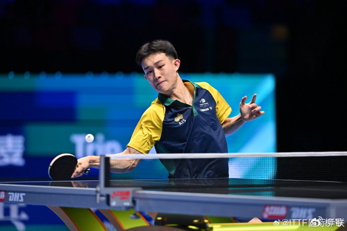 中国男乒双星闪耀WTT突尼斯赛首日，周启豪陈垣